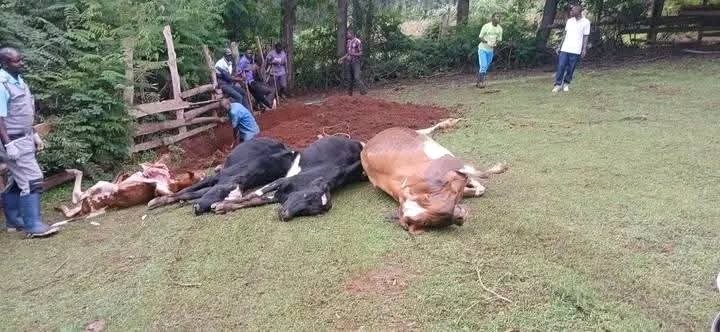 Ignatius tweet media