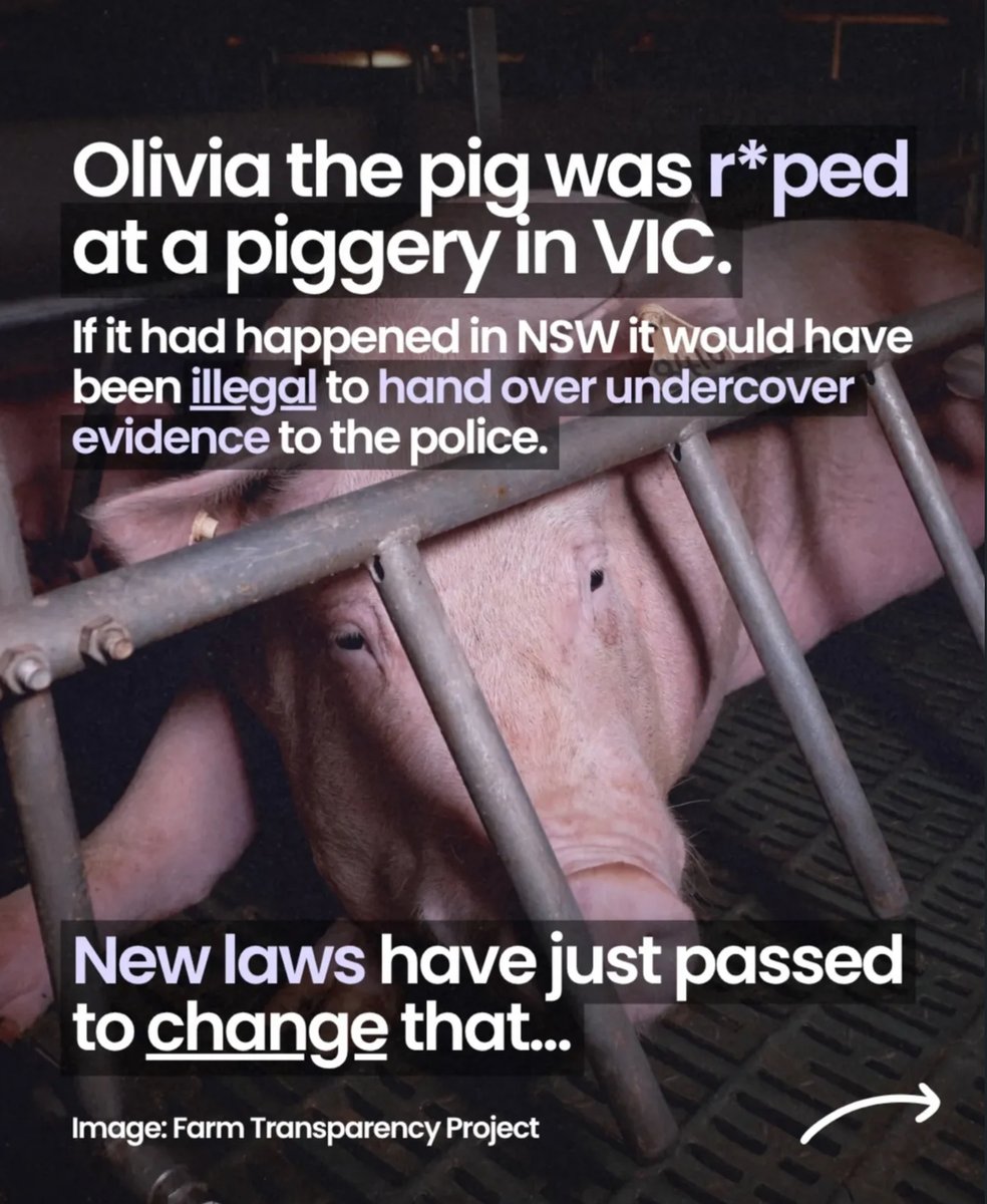 Animal Justice Party tweet media