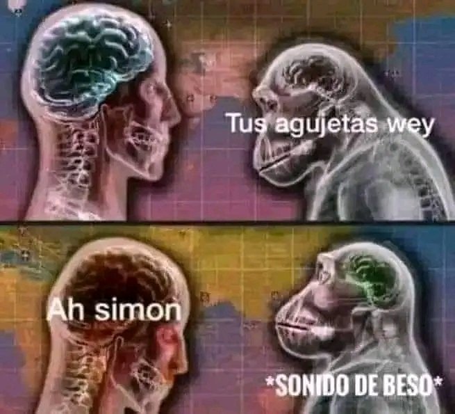 Lucho Portuano tweet media