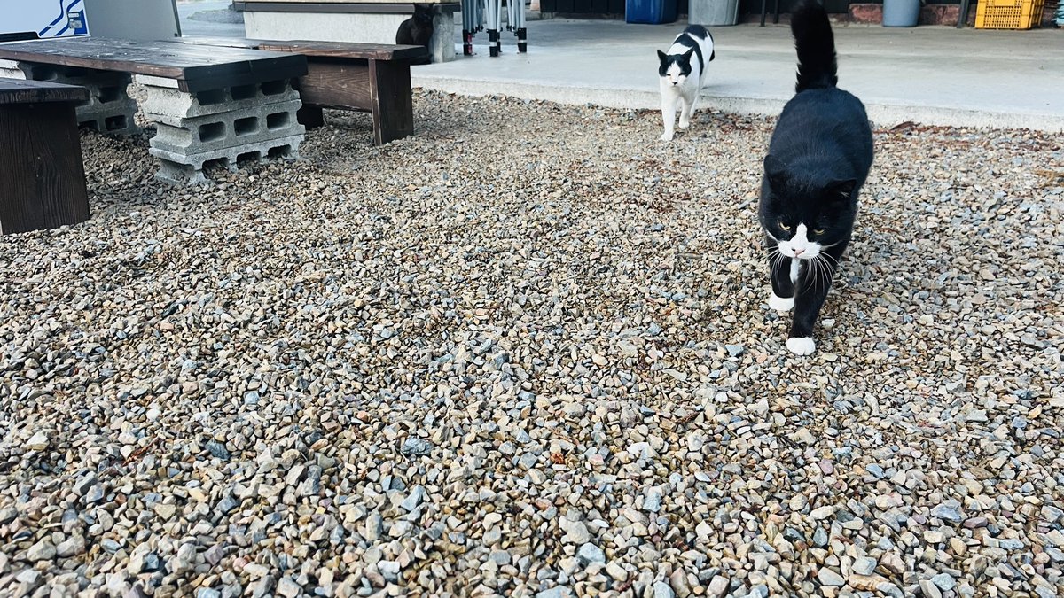 アングラーズベース#PR tweet media