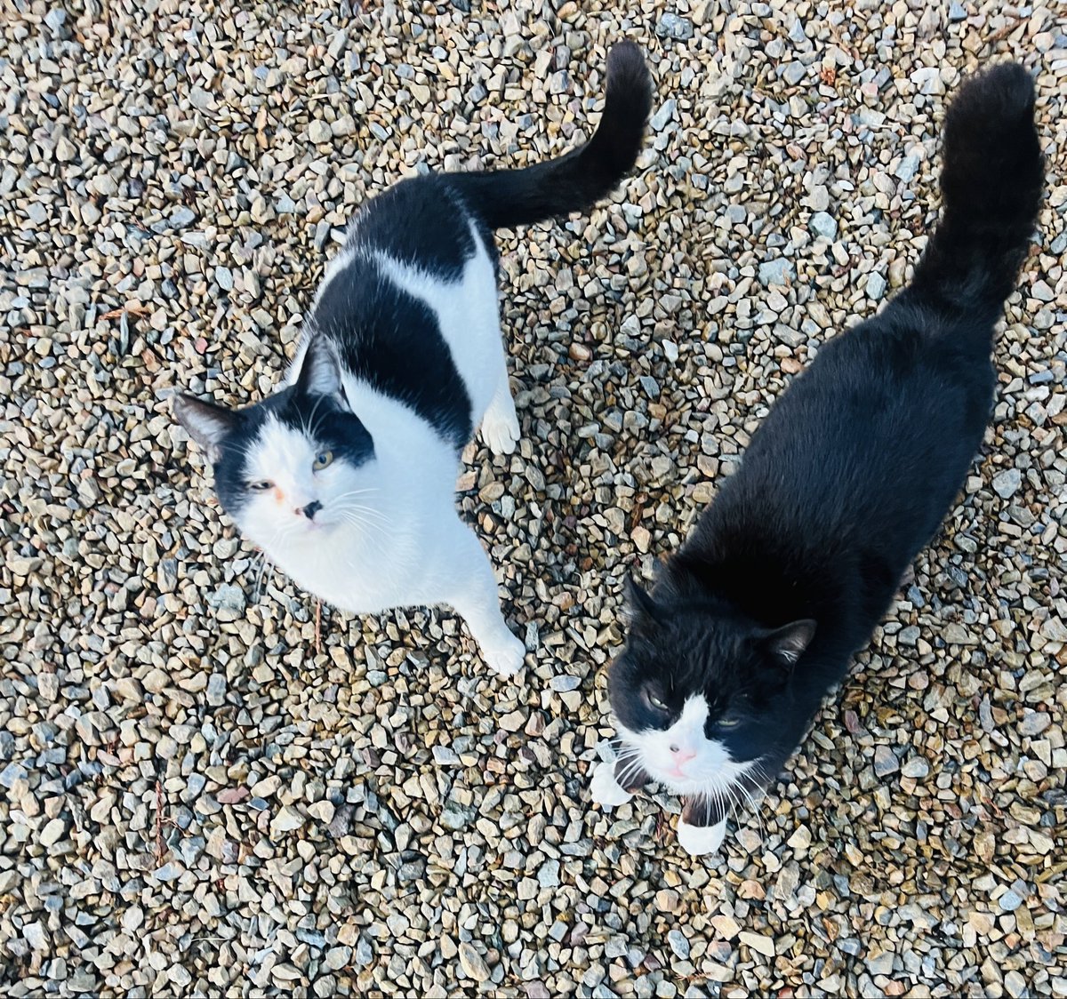 アングラーズベース#PR tweet media