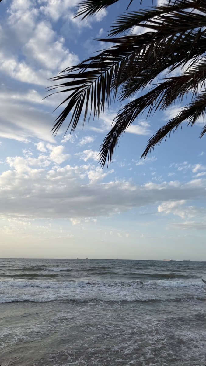 ϻ𝐚𝔥𝐚 tweet media