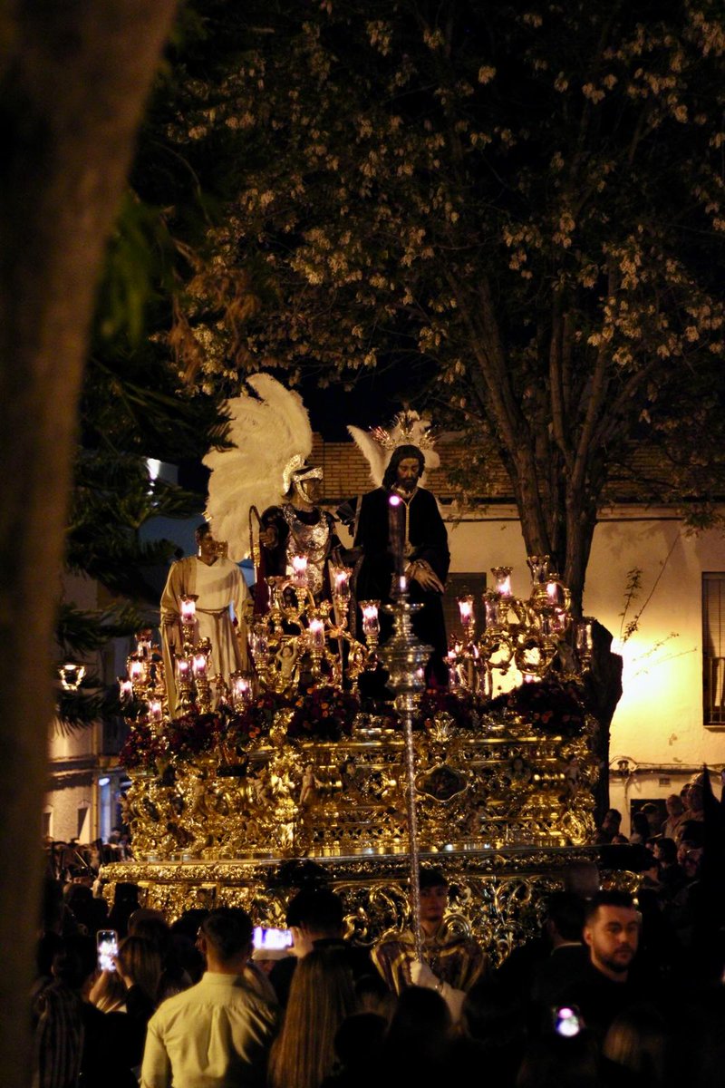 Vera-Cruz de Los Palacios tweet media