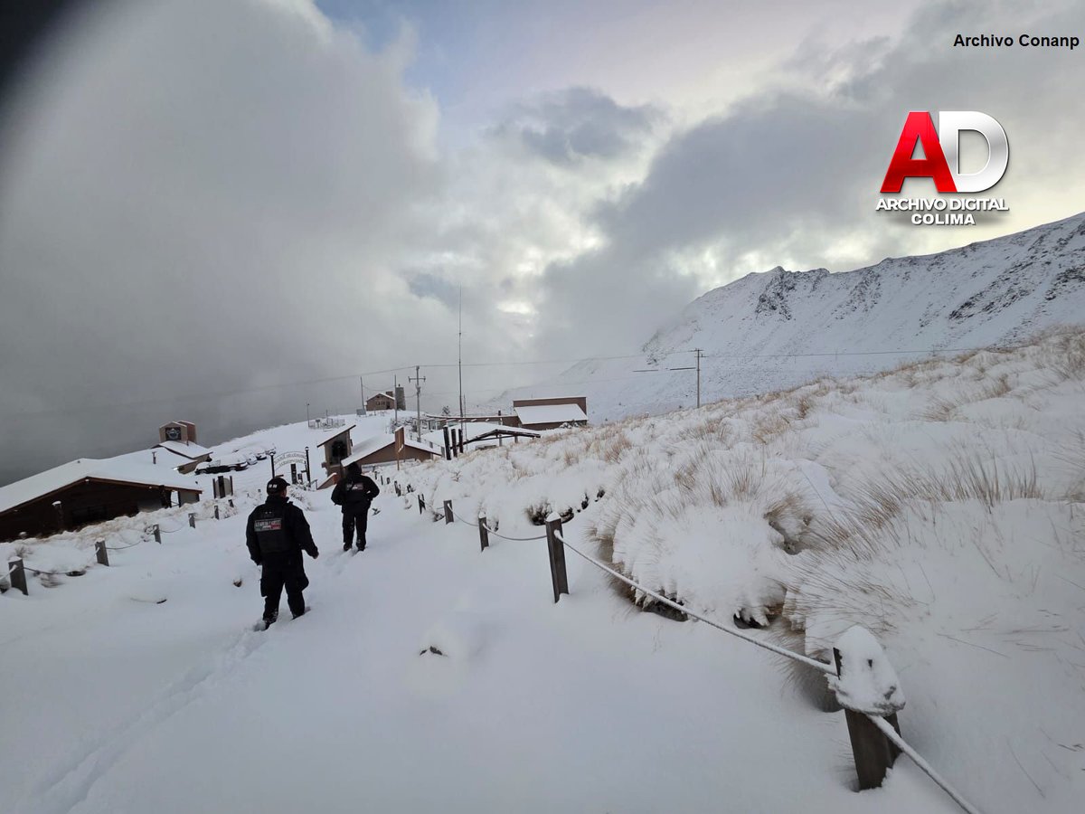 Ad Colima tweet media