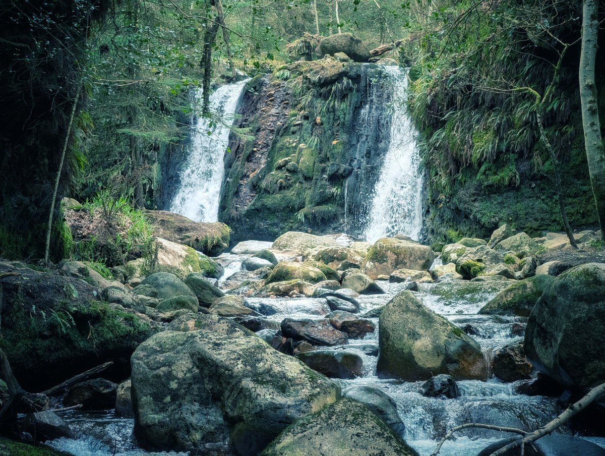pocketireland's tweet photo. The magic of Coolalingo Waterfalls is hard to capture on camera. It’s a magical location, tucked away in the Glenmalure valley in County Wicklow.
#photography #TeamPixel #WaterfallWednesday #Ireland #WildAtlanticWay #NatureLovers #ForestBath #GreenIreland #HiddenGem https://t.co/FnU4Kx3LYO