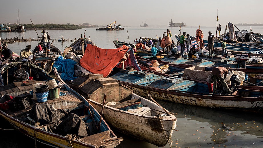 ADFmagazine's tweet photo. Floating fish factories blamed for plundering Guinea-Bissau’s blue water economy resources.