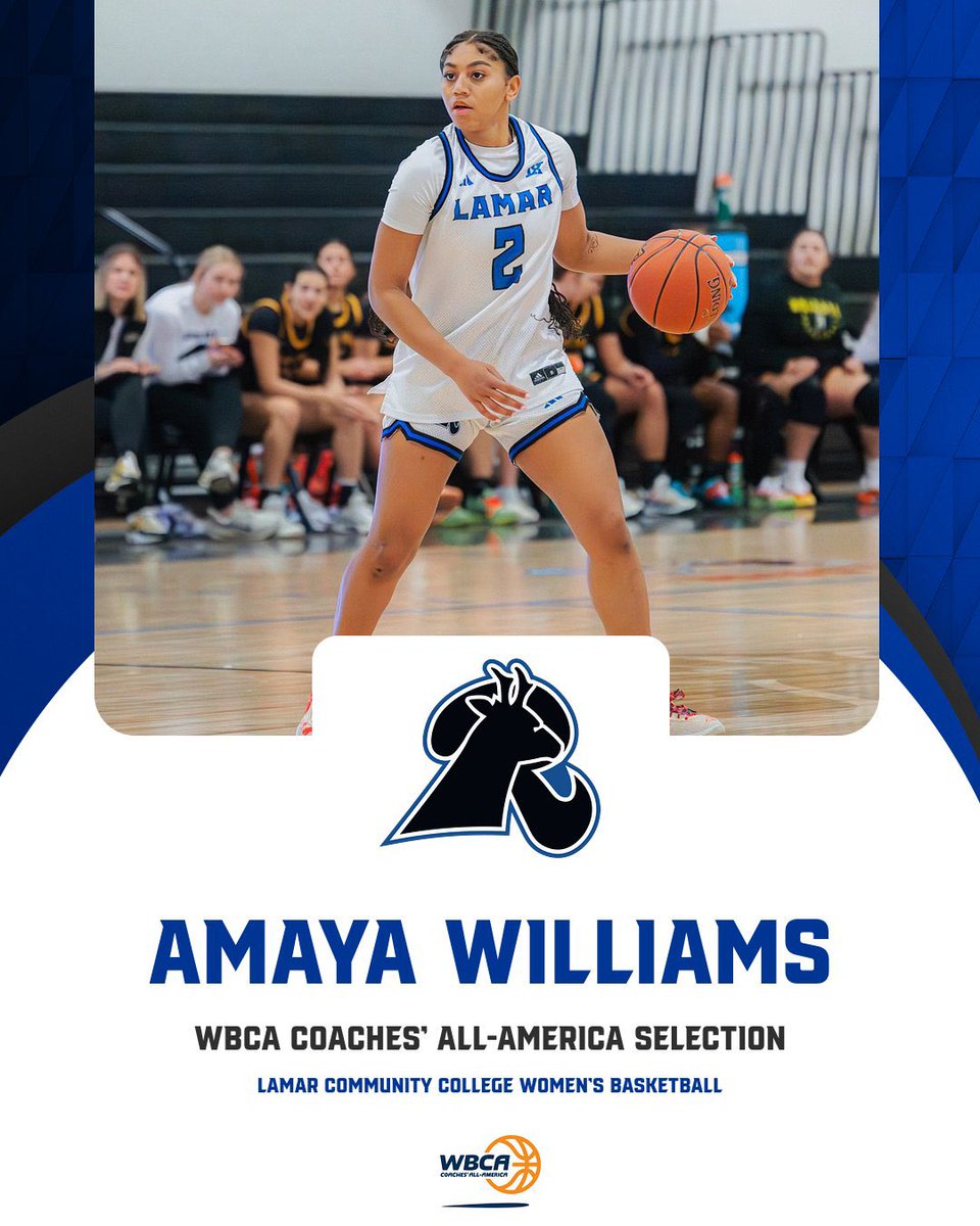 Lamar CC Women's Basketball tweet media