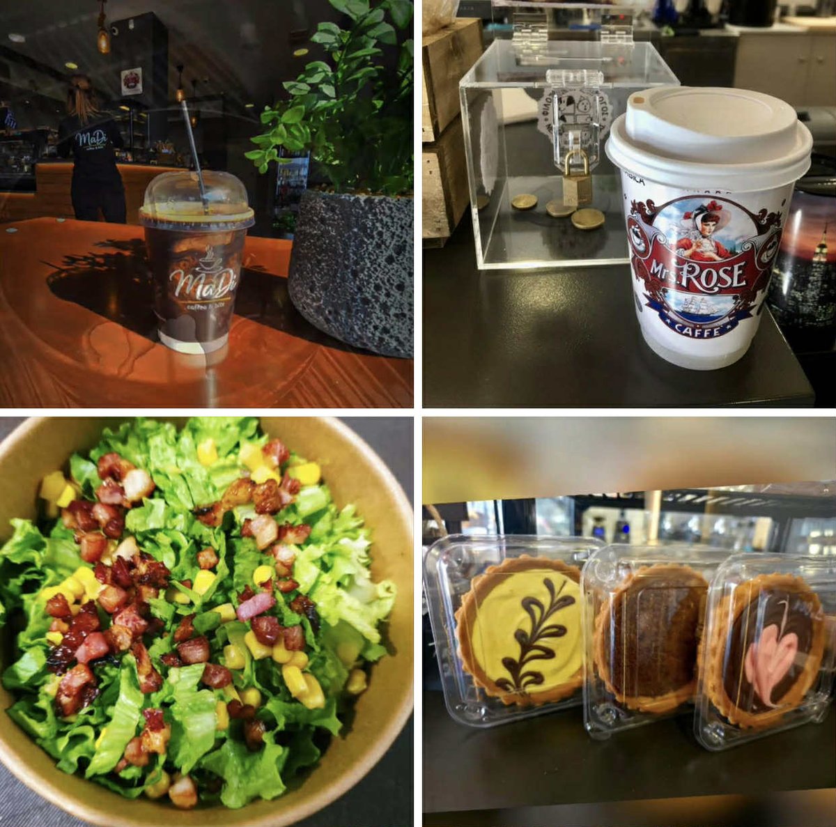 friendsofanimals_nf tweet media