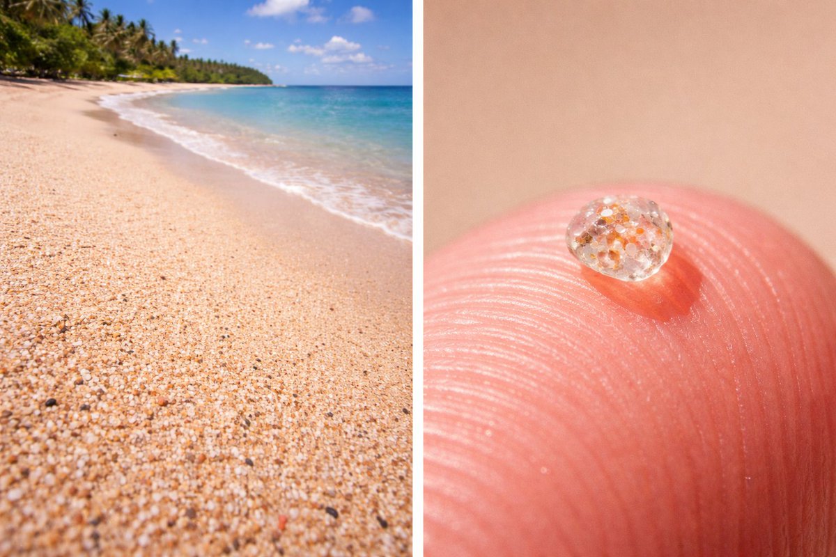 Frank ₿itcoin ⚡️🔑 tweet media