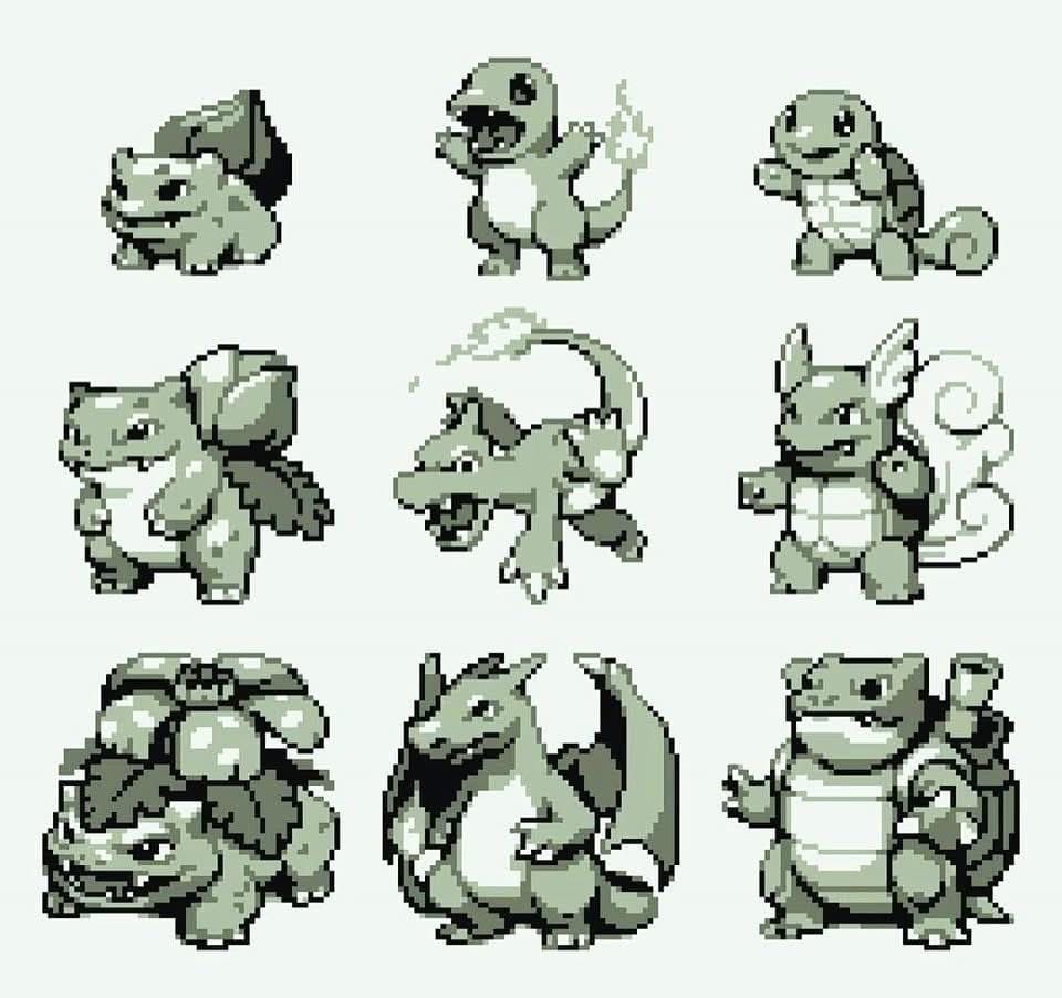 Pokémon Daily tweet media