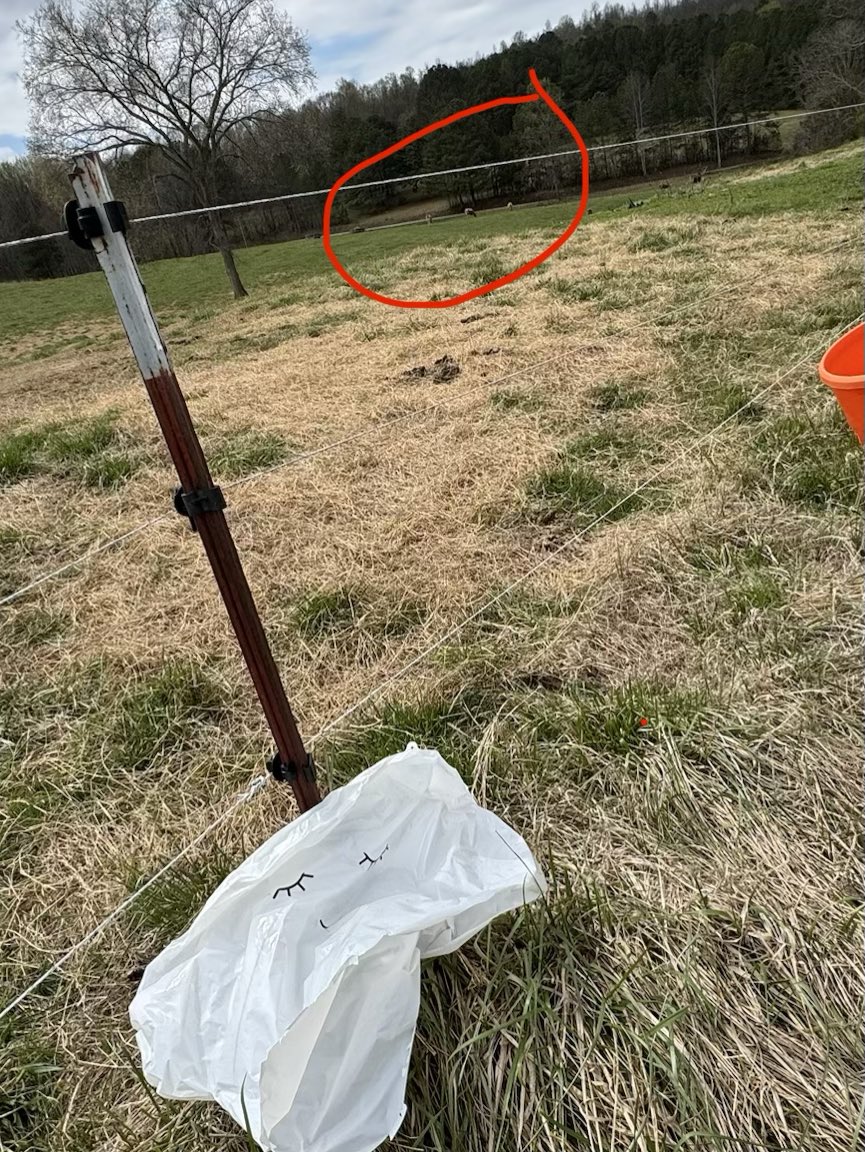 Cute little cloud balloon.
25 feet from this pasture fence.

Please balloon responsibly—

which means indoors and with secure strings or weights.