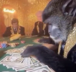 Esoteric Monkeys tweet media