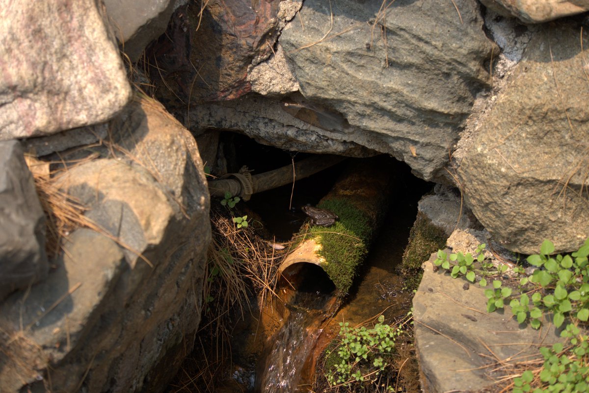 Carmen_nem tweet media