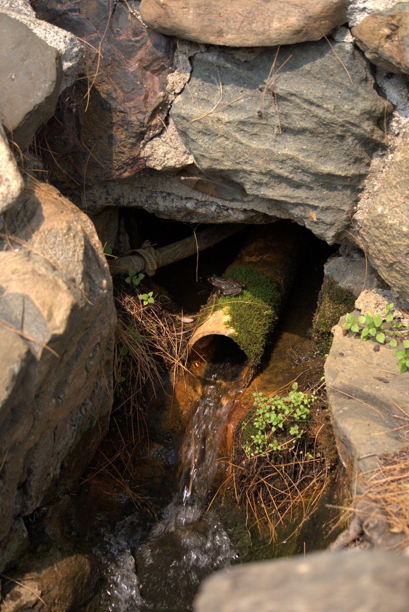 Carmen_nem tweet media