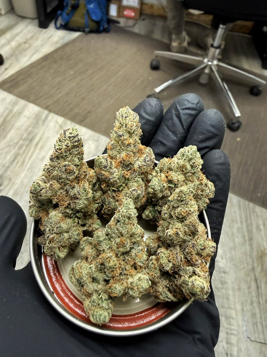DogHouse Farms - Michigan tweet media