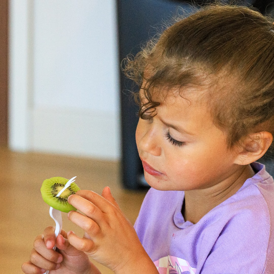 Catherine Hershey Schools for Early Learning tweet media