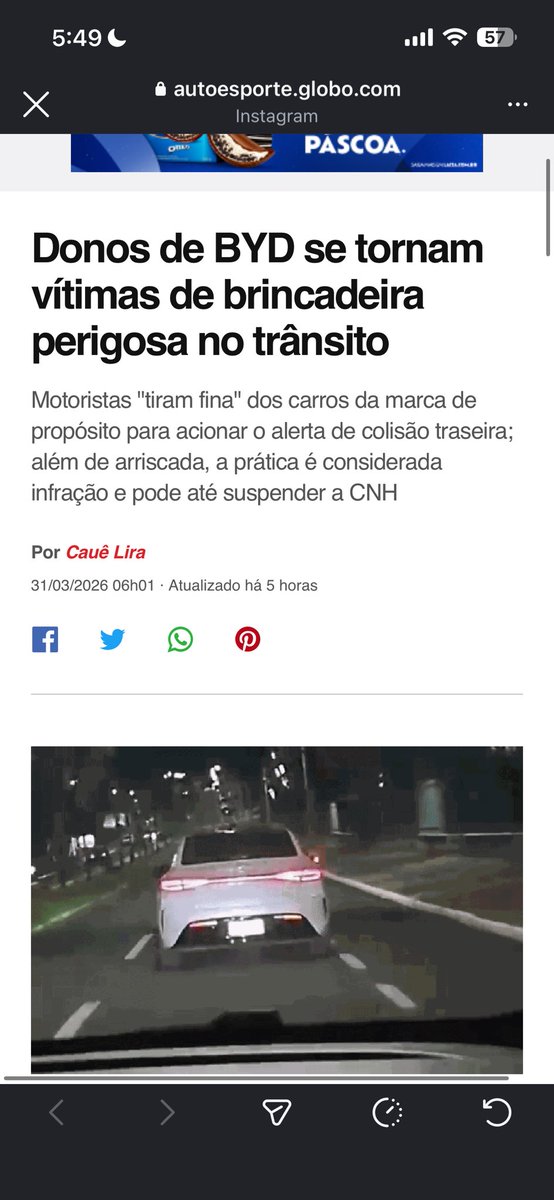 💾 Izzy Nobre🐁 tweet media