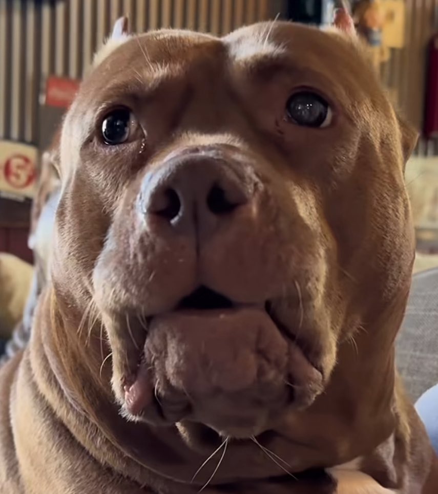 GreenTurret tweet media