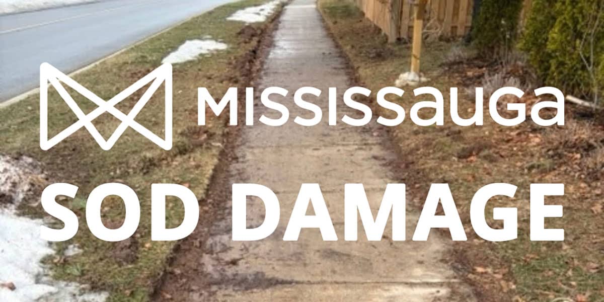 LPWRA's tweet photo. To report sod damage due to sidewalk plows, please call 311 or use the City's online form https://t.co/lOTgSnQX2b https://t.co/b3qOngbenr
