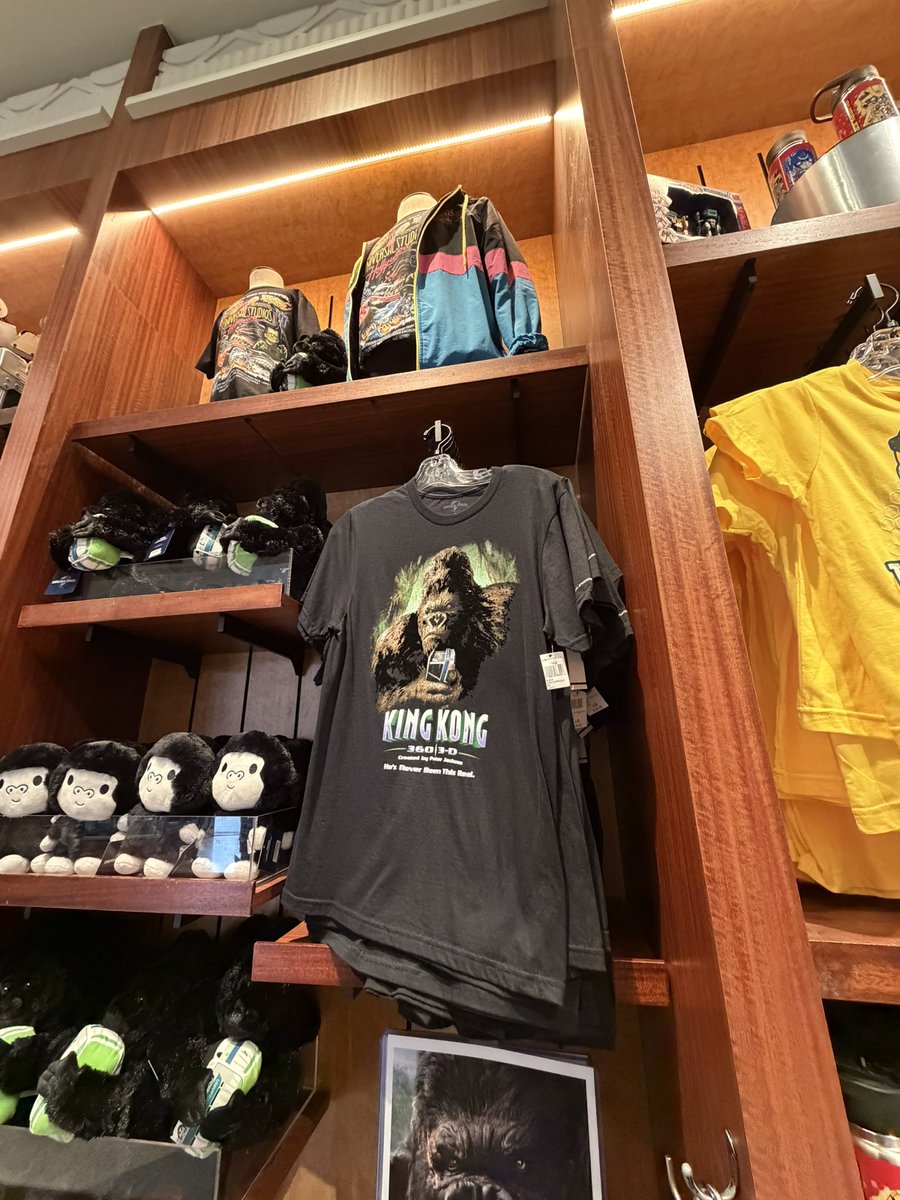 Universal HIGH 🌎 tweet media