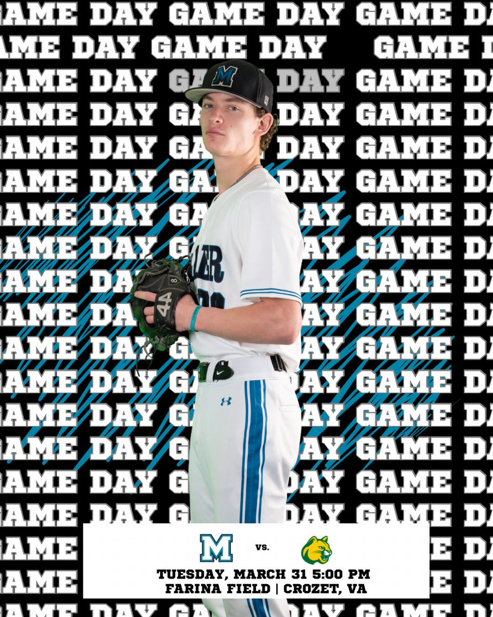 MSA Baseball tweet media