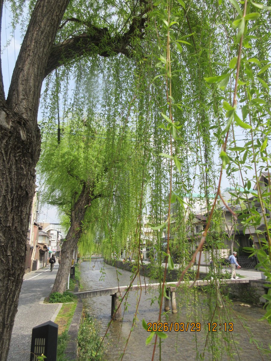 奥野進一 tweet media