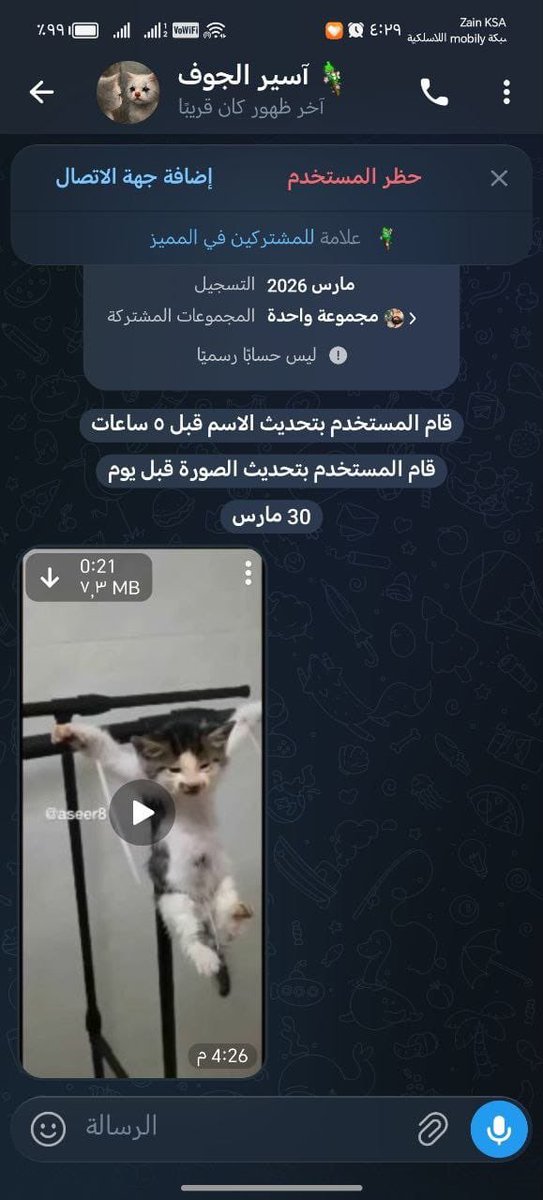 816Amani's tweet photo. ايش ممكن يأذيك فيه هذا الحيوان الضعيف البريء ؟؟؟ 

ضغطة من�� رح تفرق معه وتساعد أرواح كثير 🙏🏻😔💔

#معذب_القطط_بالسعوديه https://t.co/ffak45FdrY