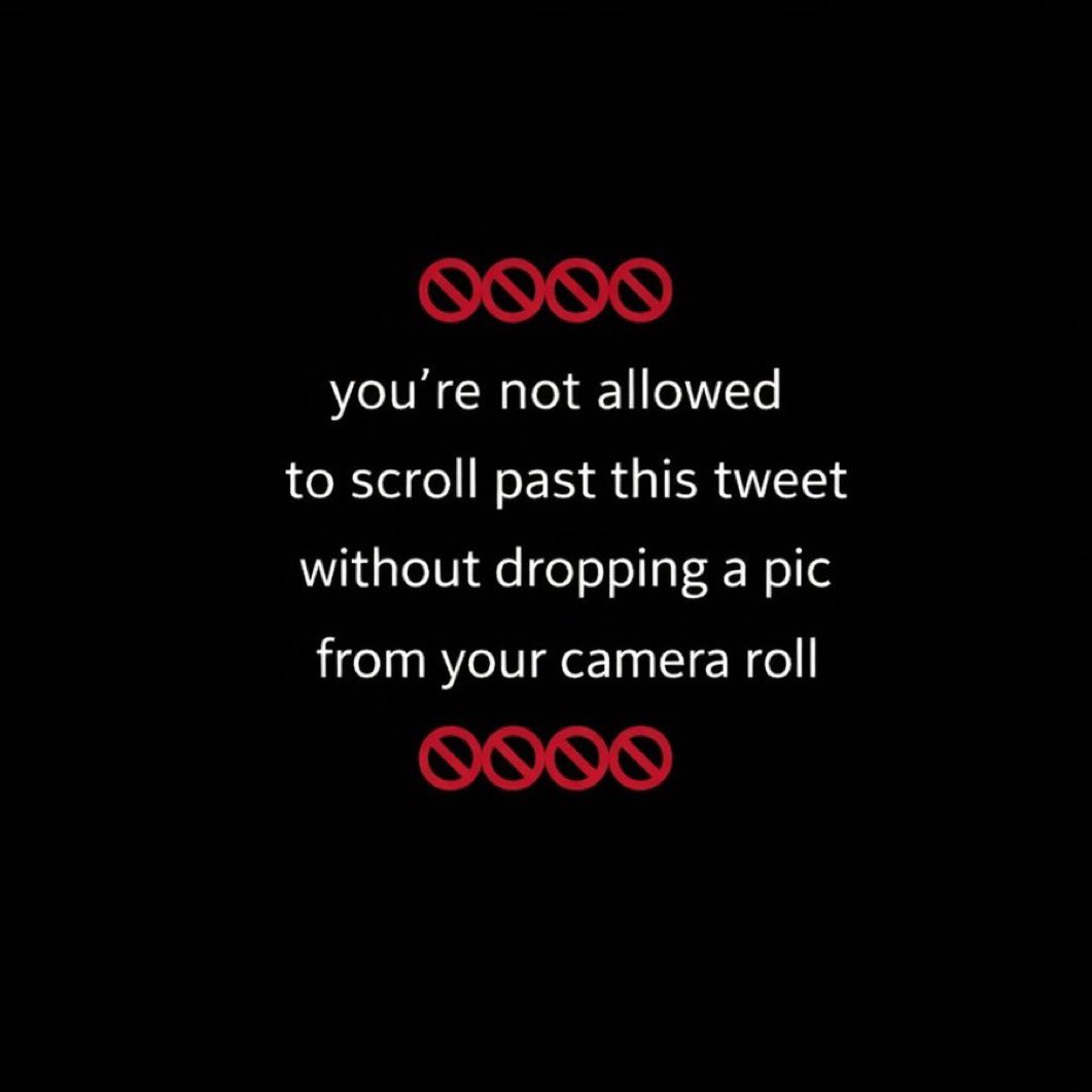 VXN Lifestyle tweet media