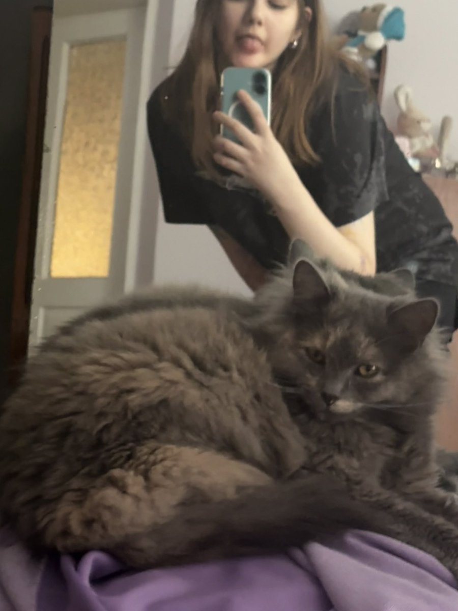 каміла tweet media