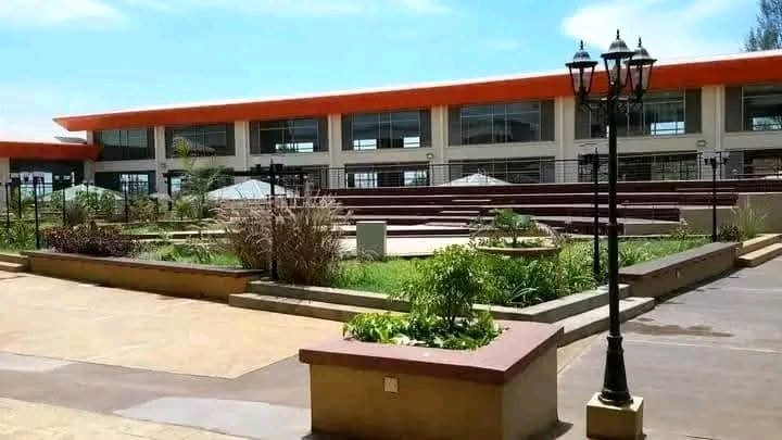 Ignatius tweet media