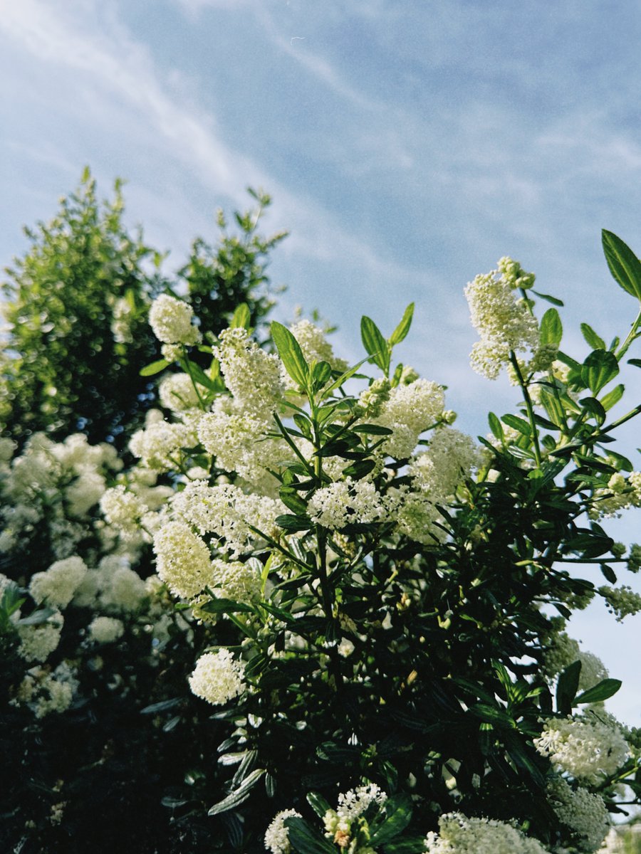 The Wonder of Tolkien tweet media