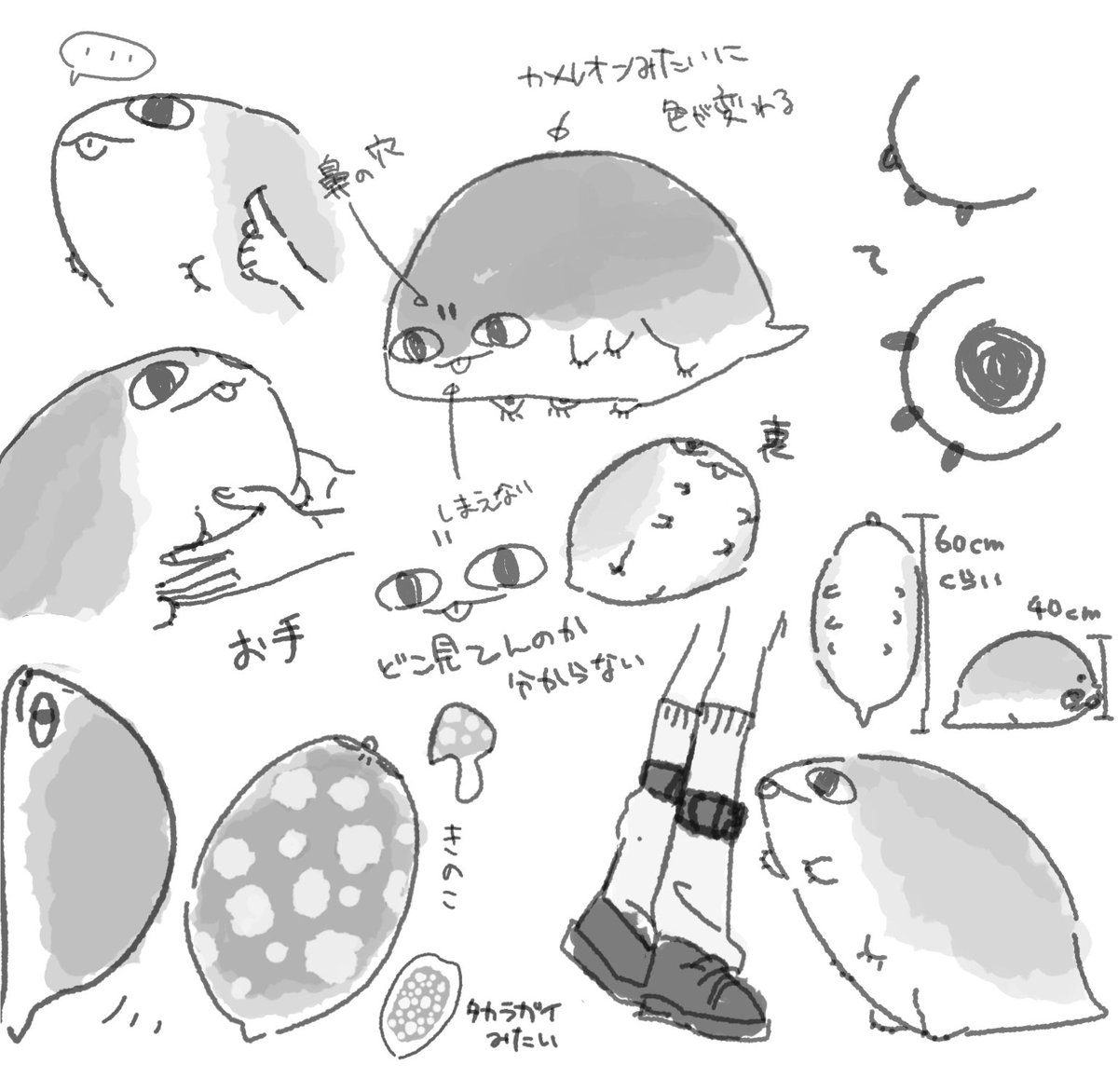 塩分農度 tweet media