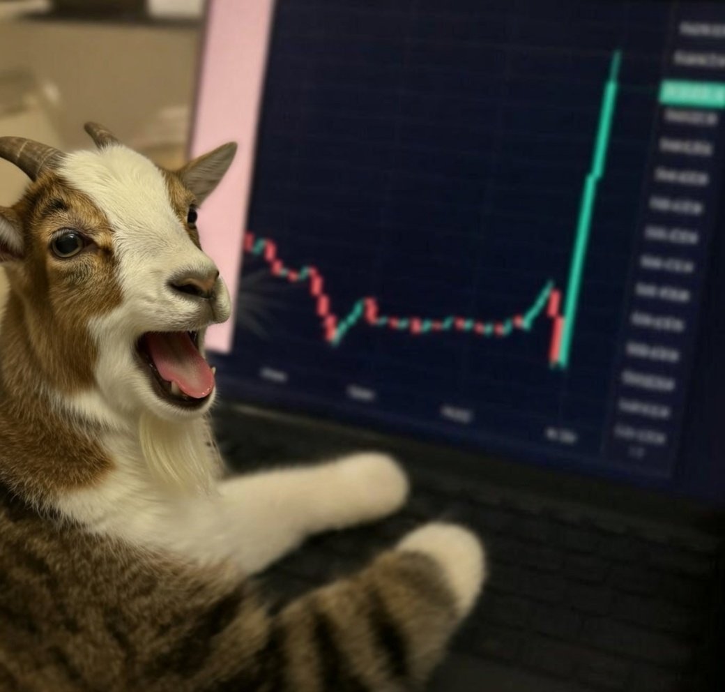 @BGOAT tweet media