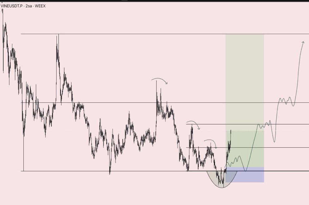 LSTraderCrypto's tweet photo. $VINE ✍🏻 %12 https://t.co/WHongiHuLU