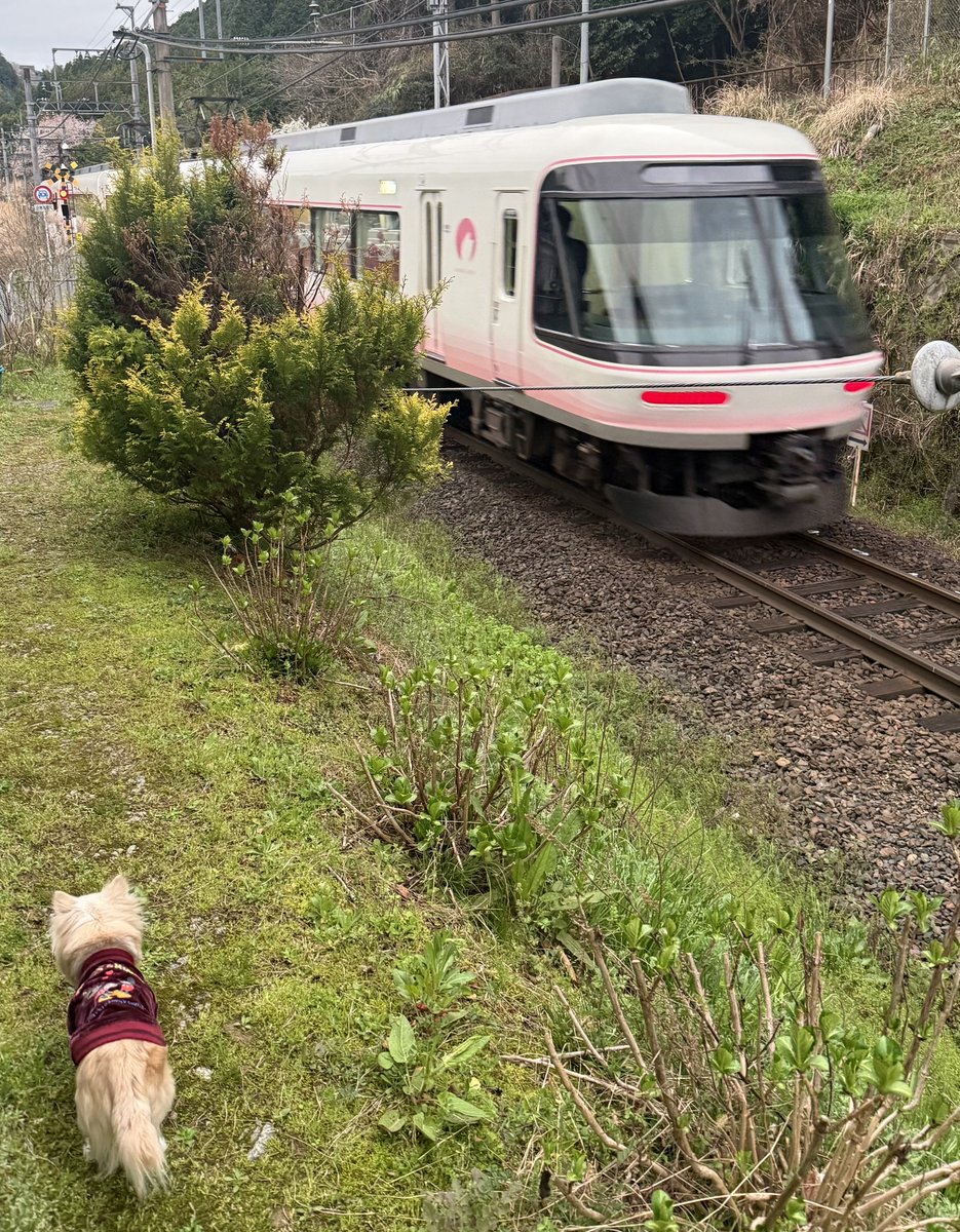 soma.fuma tweet media