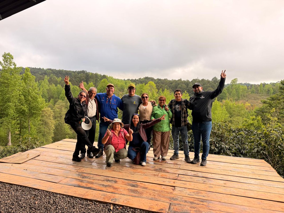 Enter504 Periódico Digital tweet media