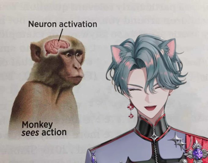 mia 💿📌 tweet media