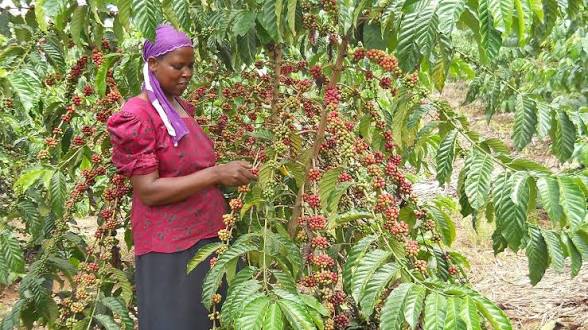 d.e.r.y.k🇺🇬 tweet media