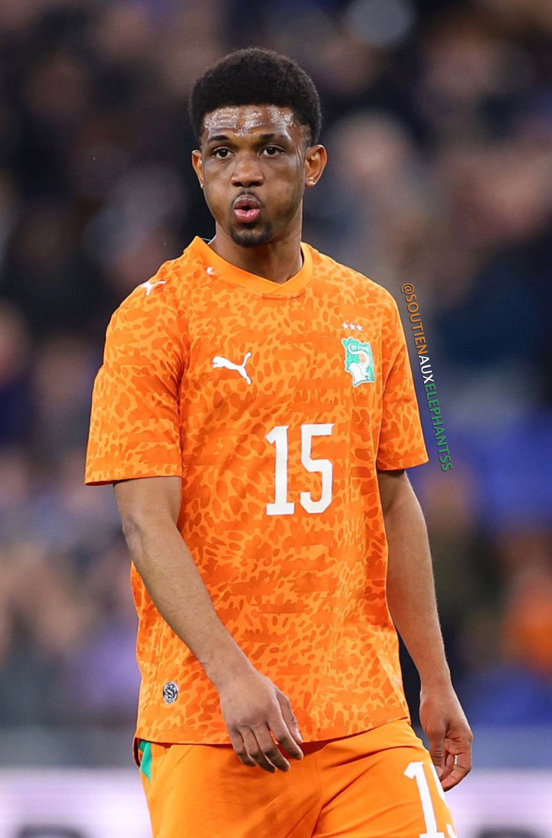 SOUTIENAUXELEPHANTS🇨🇮 tweet media