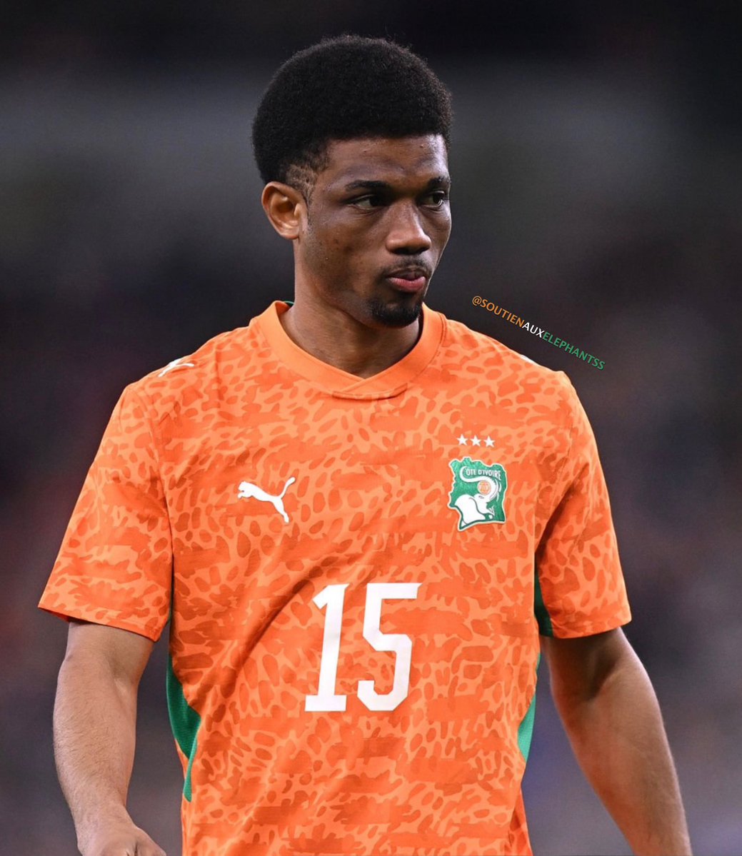 SOUTIENAUXELEPHANTS🇨🇮 tweet media