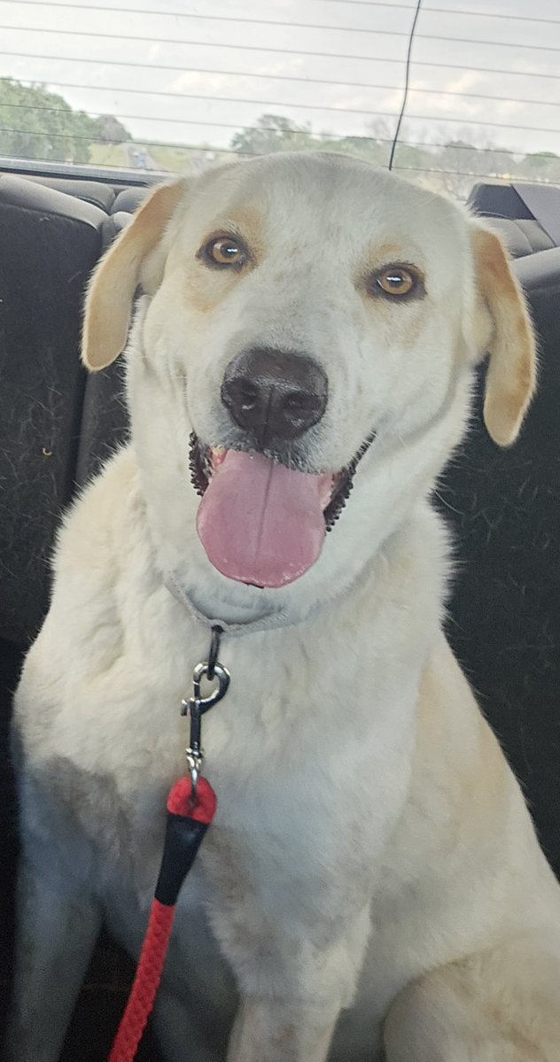 Wowwi Gwace 🦋🦋 tweet media