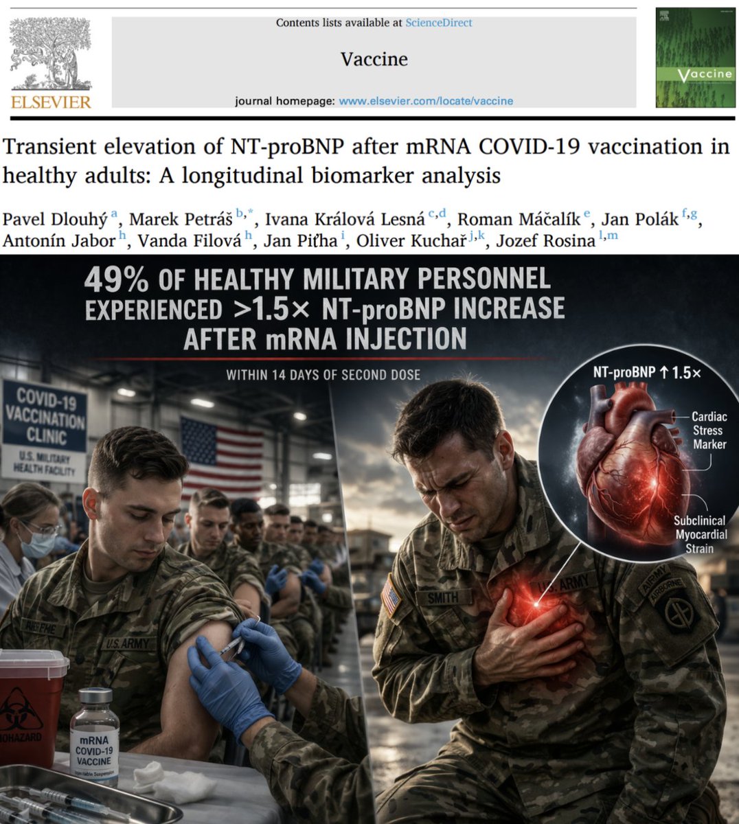 Nicolas Hulscher, MPH tweet media