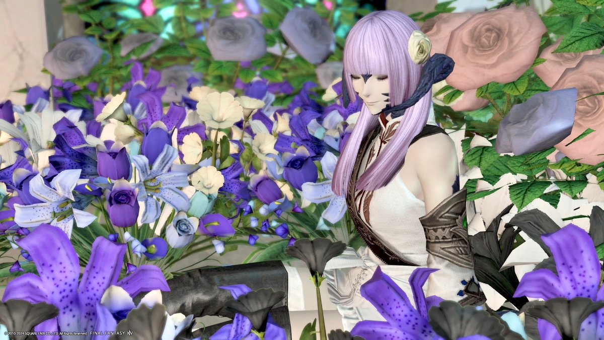 𝙺𝚊𝚗𝚊🐕 ͗ ͗ tweet media