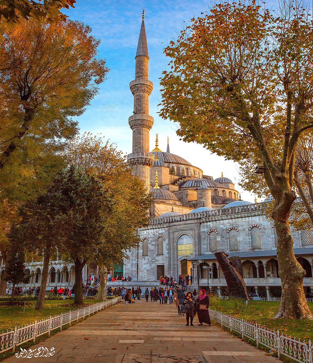 عبدالرحمن بن سعد البريه tweet media