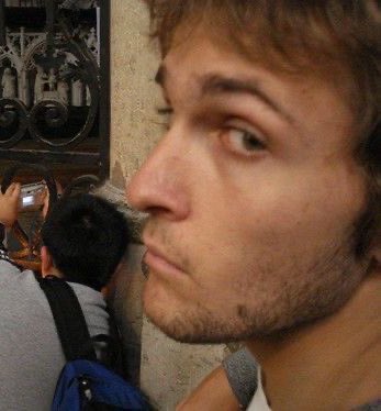 bandom as animals tweet media