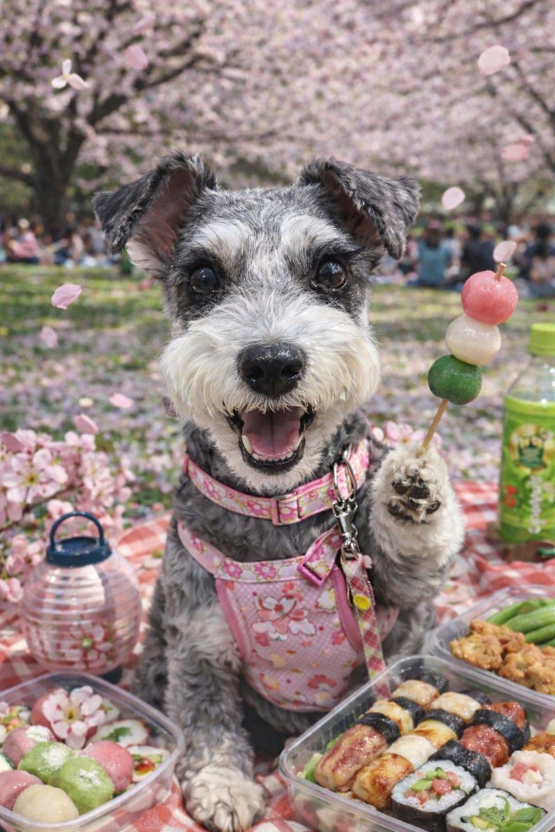 勝ちゃん tweet media