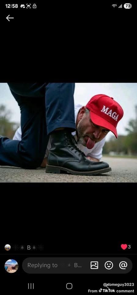 notstupidenoughtobeMAGA🐛 tweet media