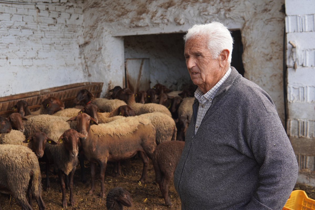 David Ortega tweet media