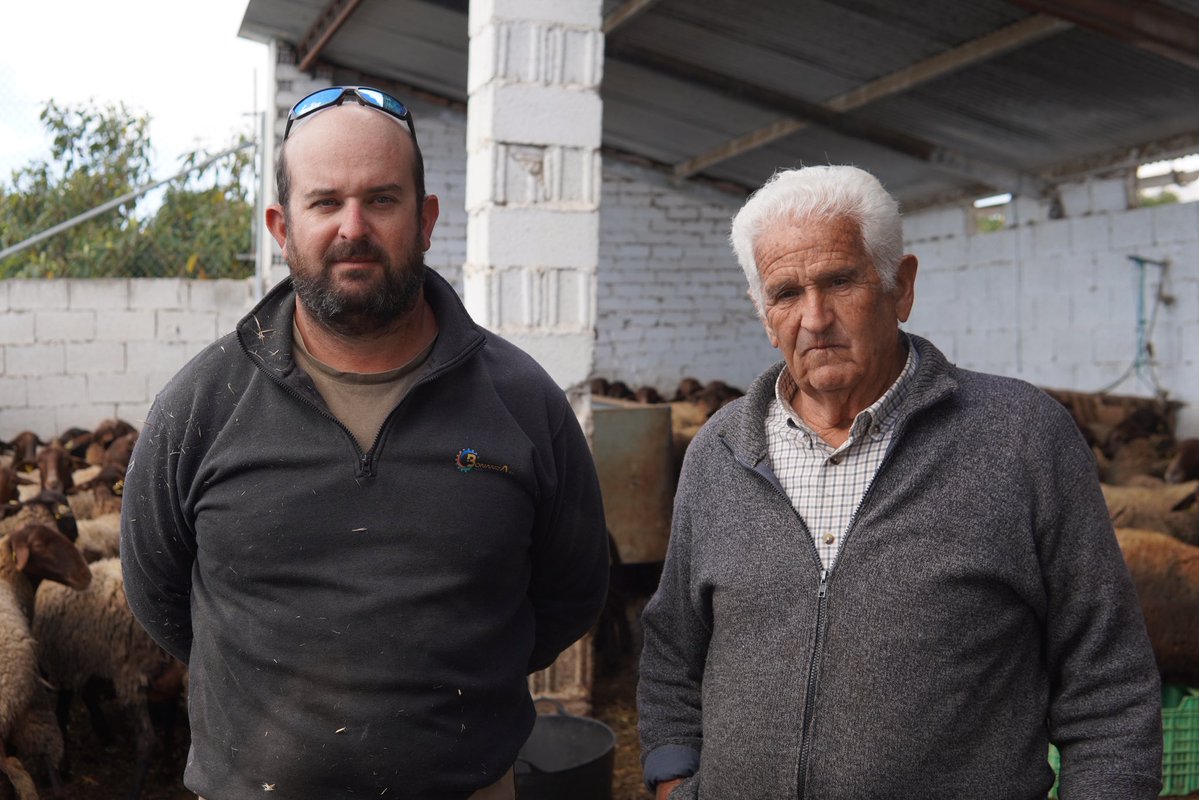 David Ortega tweet media