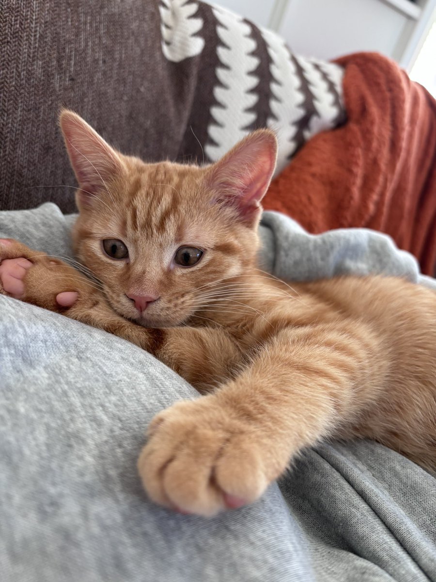 Как я провожу вечер после работы